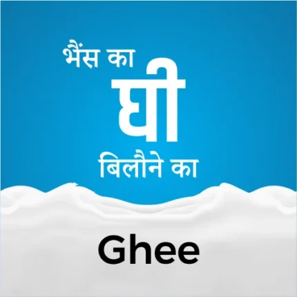 Ghee baffelo